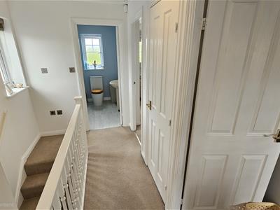 Picture 29